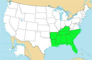 southern us map region